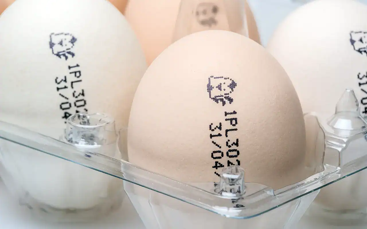 Food-safe ink marking on eggs