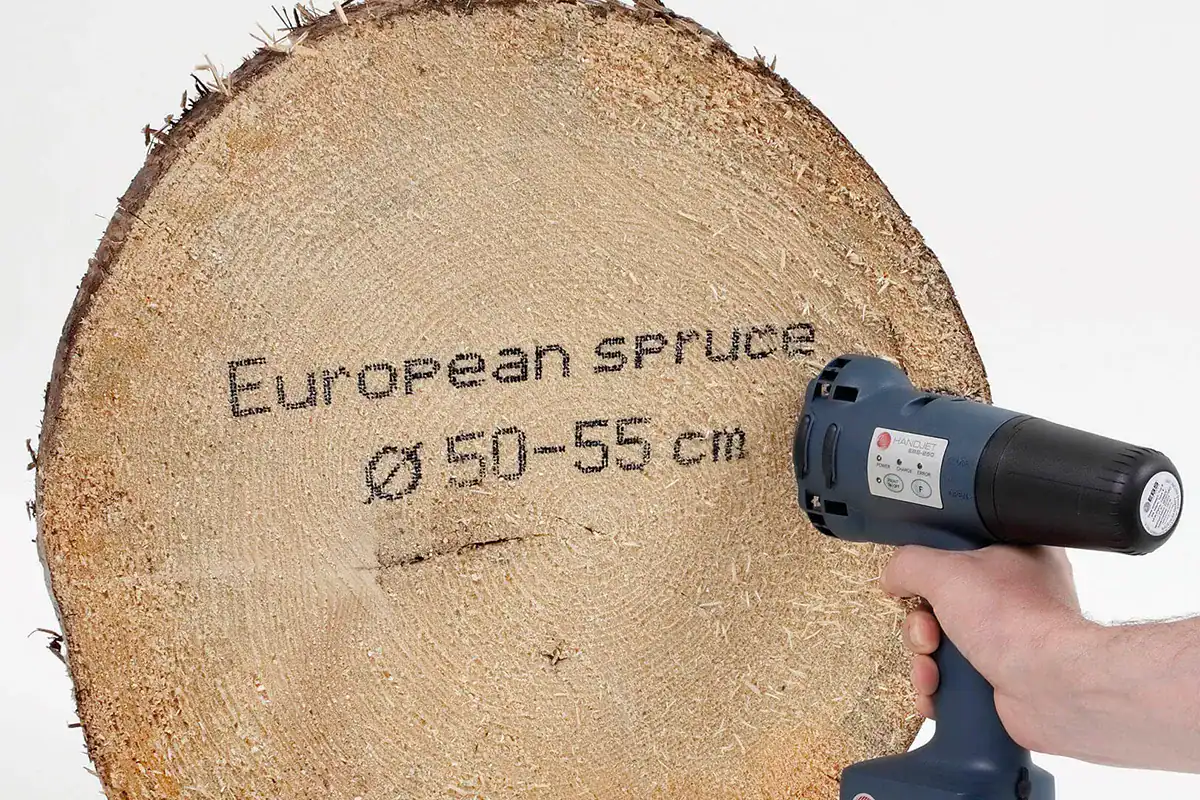 Wood and Building Materials