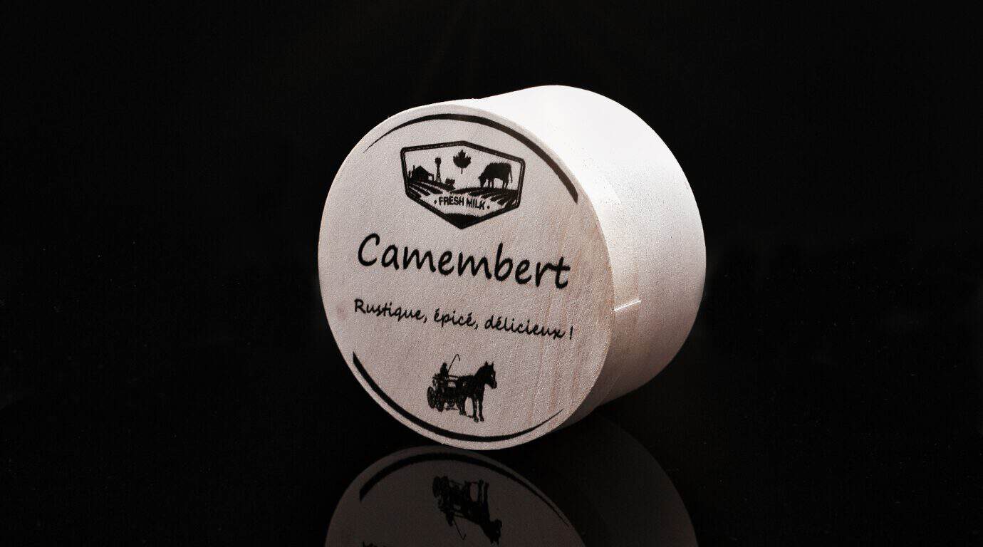 EBS-PJ-1000 high-resolution coding on cheese packaging